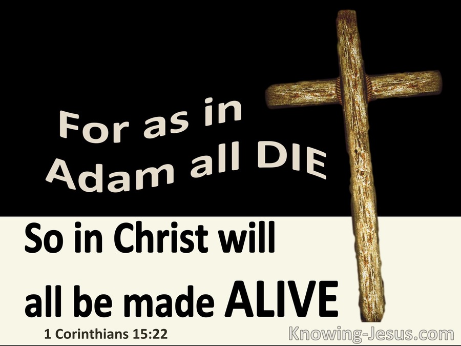 1 Corinthians 15:22 In Adam All Die In Christ All Made Alive (black)